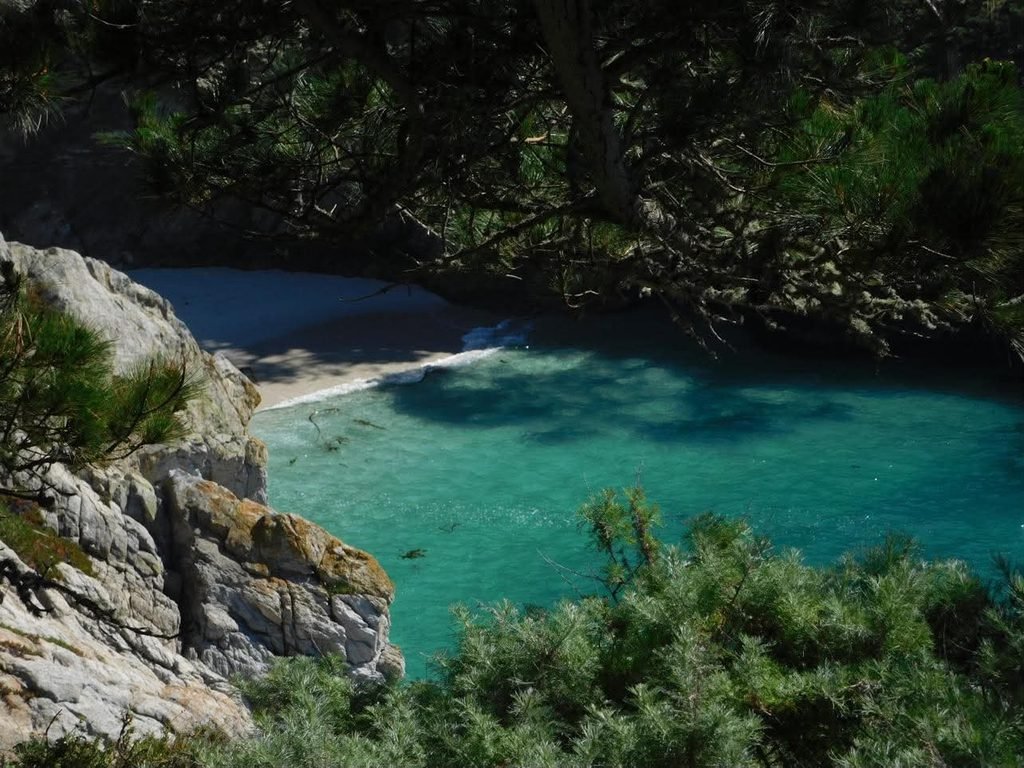 Vibrant Look at China Cove