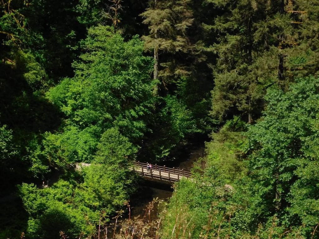 Silver Falls State Park