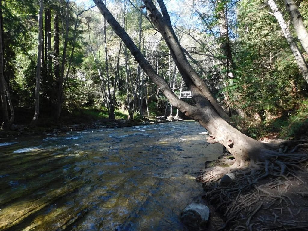 Pfieffer Big Sur State Park