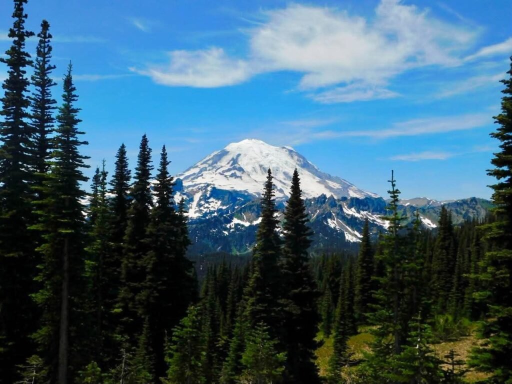 Mt Rainier