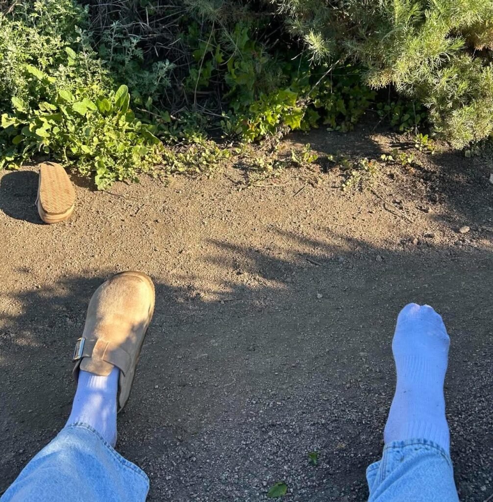 Falling down in the bushes on a hike back up