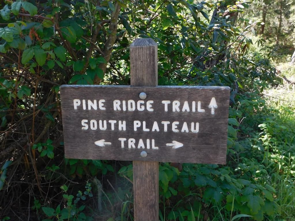 South Plateau trail markers
