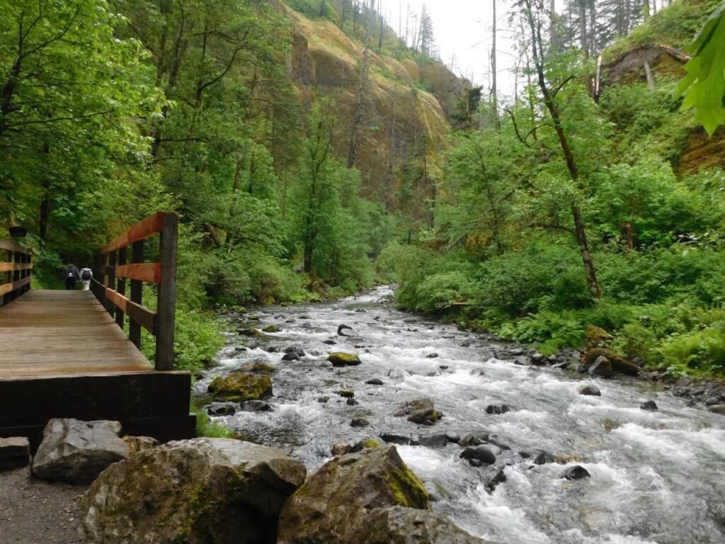 Wahchella Falls