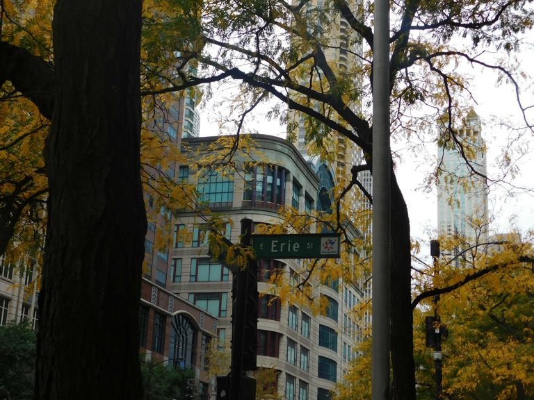 Chicago in the Fall: What to Do, Eat, & Pack 