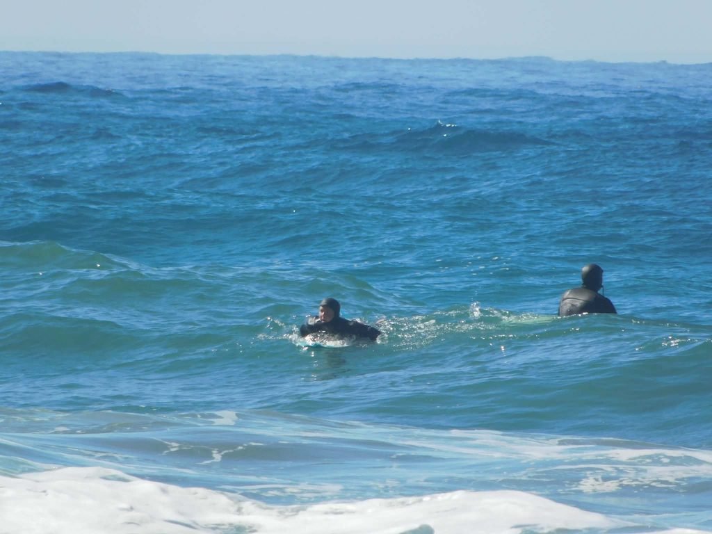 Surfers in the cove