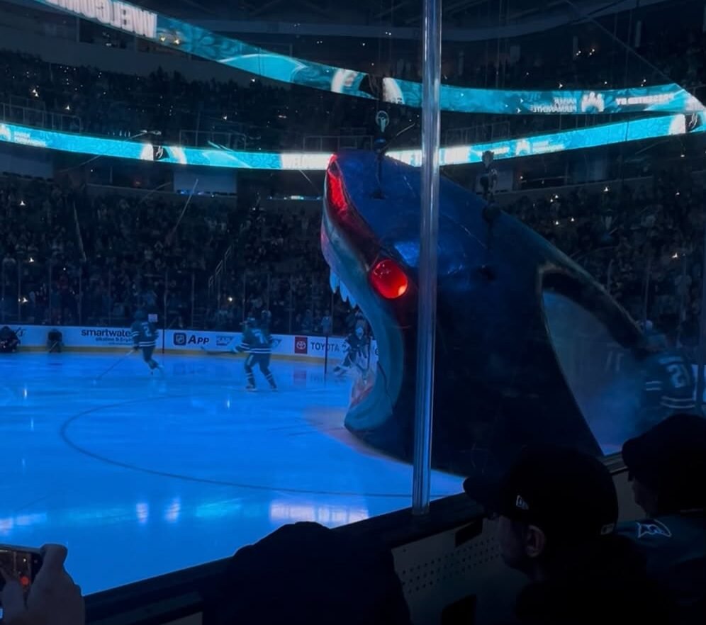Sharks entrance