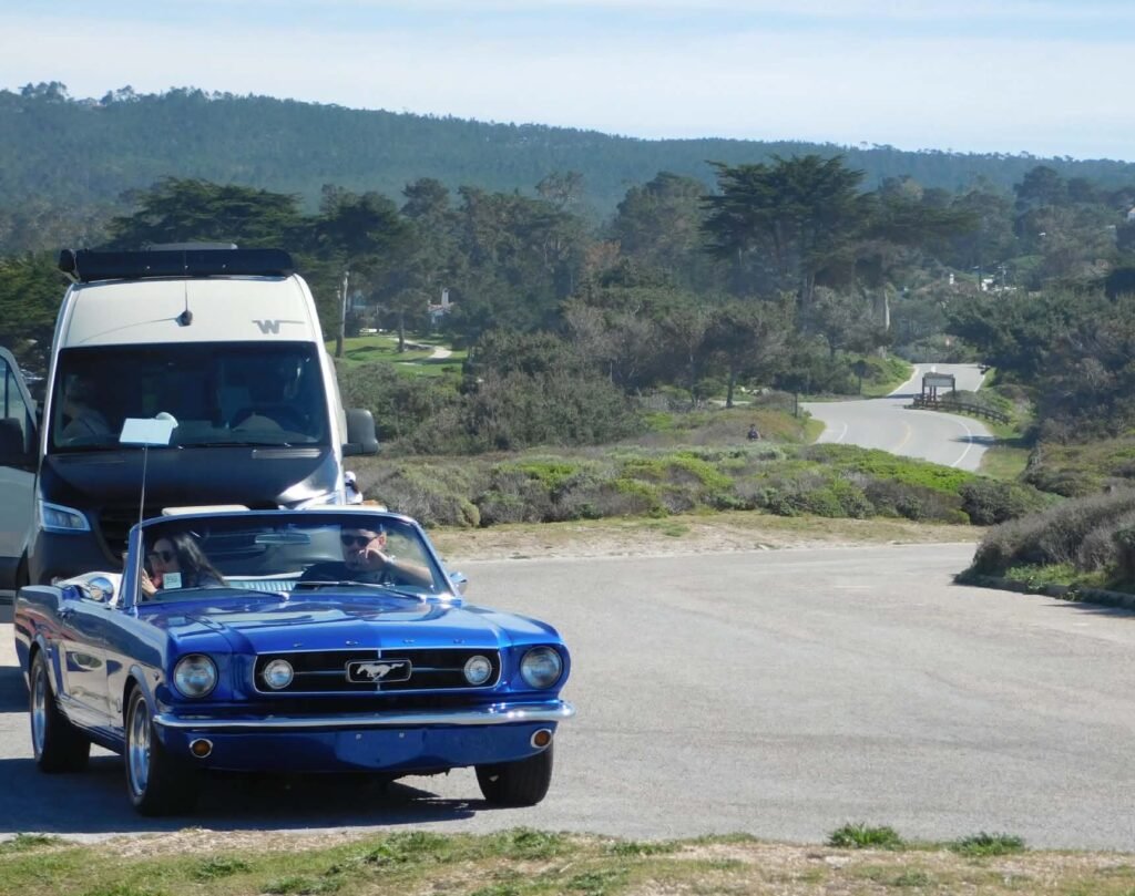 Mustang near Point Joe